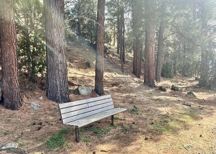 Luxury Mountain Escape! Show Low